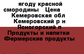 ягоду красной смородины › Цена ­ 100 - Кемеровская обл., Кемеровский р-н, Ясногорский п. Продукты и напитки » Фермерские продукты   